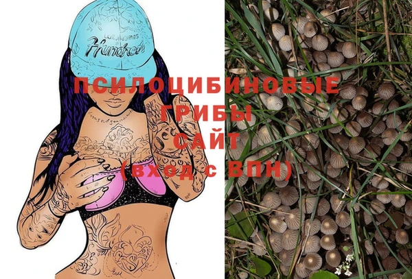 скорость mdpv Осинники