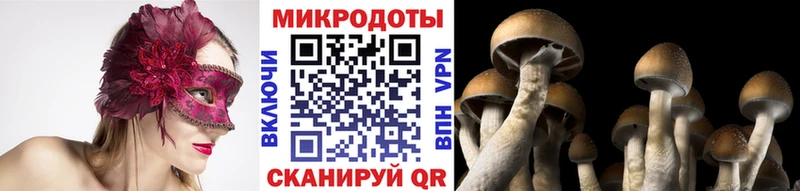 Купить где  Владикавказ  Галлюциногенные грибы Psilocybe 